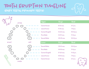 tooth-eruption-timeline
